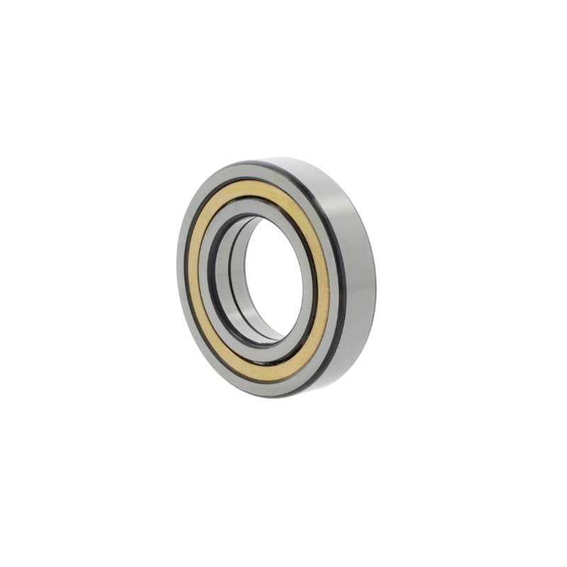 FAG QJ313 MPA