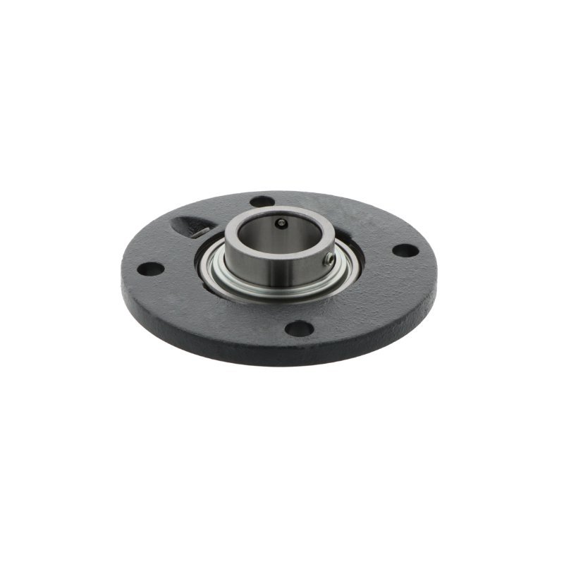 Bearing unit RMEY55 INA – product photo