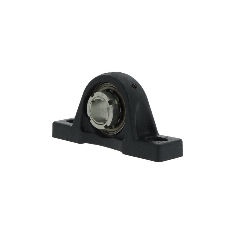 Bearing unit RASEA40 N INA – product photo