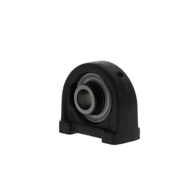 Bearing unit RSHEY25 N INA – product photo