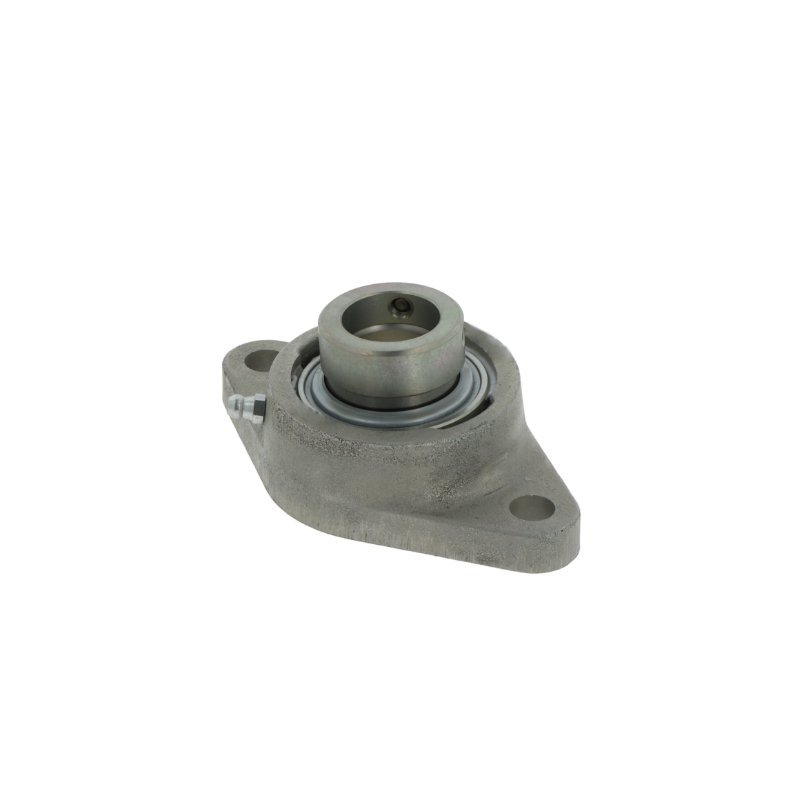 Bearing unit RCJT35 N-FA125 INA – product photo