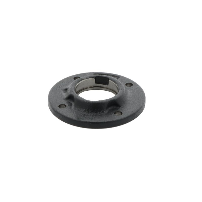 Bearing housing GEHFE05 -GG INA – product photo