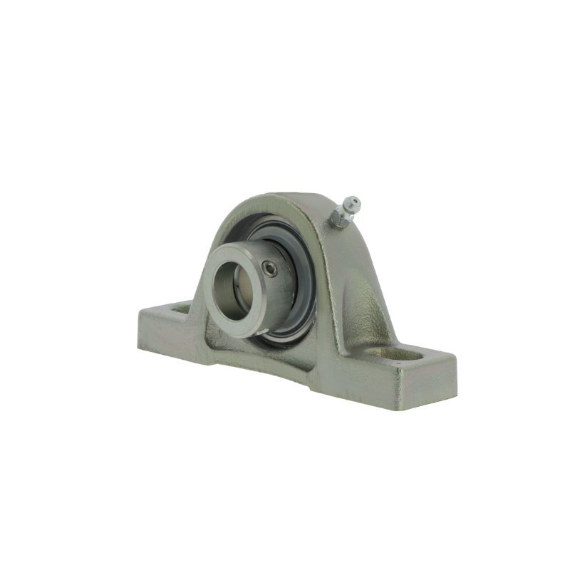 Bearing unit RASE45 FA125 INA – product photo